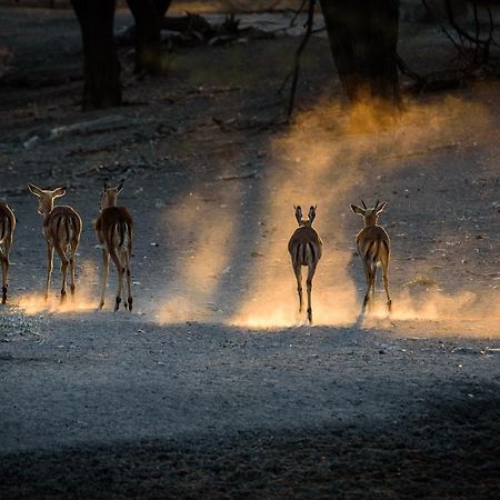 Gabus Safari Lodge Otavi Экстерьер фото
