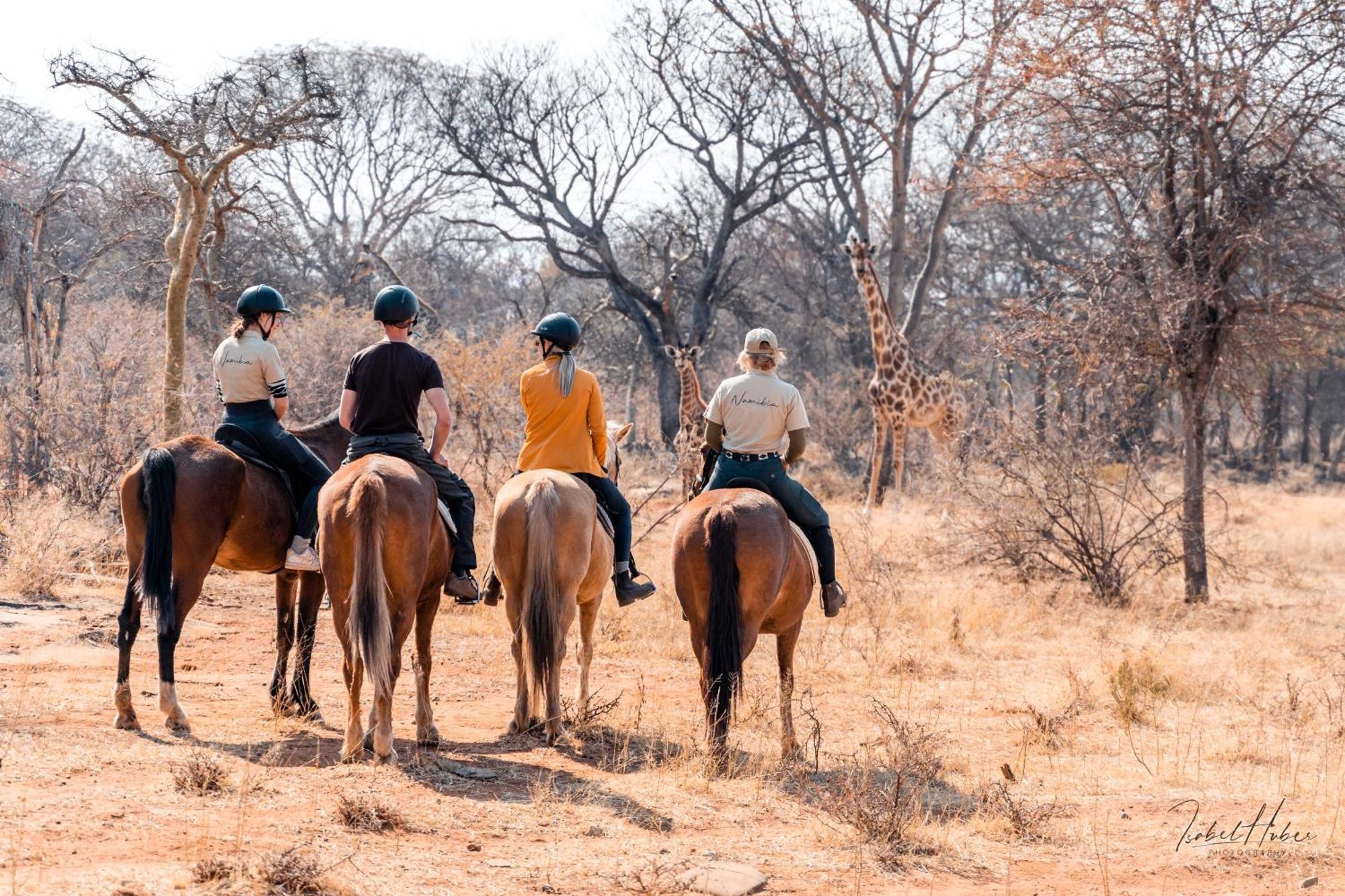 Gabus Safari Lodge Otavi Экстерьер фото